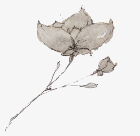 Sketch - Rustic Flower Png Png, Transparent Png, Transparent PNG