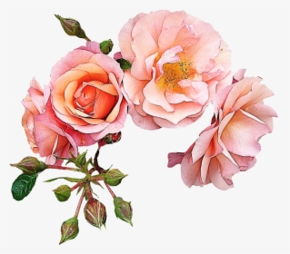 Garden Roses Flower Pink Clip Art - Rose Gold Flowers Clip Art, HD Png Download, Transparent PNG