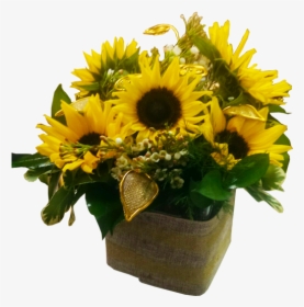 Sunflower, HD Png Download, Transparent PNG