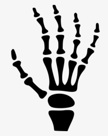 Carpal Bones Human Skeleton Hand - Cartoon Skeleton Hands Clipart, HD Png Download, Transparent PNG