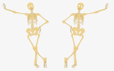 Skeleton Hand On Hip - Skeleton Hands On Hips, HD Png Download, Transparent PNG