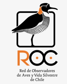 Red De Observadores De Aves De Chile, HD Png Download, Transparent PNG