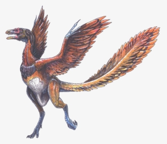 Arqueopterix - Dinosaur With Wings And Feathers, HD Png Download, Transparent PNG