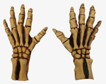 Bone Skeleton Gloves - Full Skeleton Gloves, HD Png Download, Transparent PNG