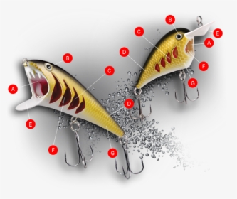 Pirana Fishing Lure Features, HD Png Download, Transparent PNG