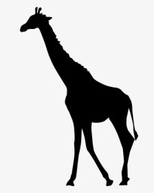 Transparent Clip Art Image - Giraffe Silhouette Png, Png Download, Transparent PNG