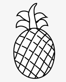 Fruits Clipart Images Black And White, HD Png Download, Transparent PNG