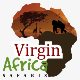 Virgin Africa Safaris - Tree, HD Png Download, Transparent PNG
