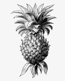 Pineapple, HD Png Download, Transparent PNG