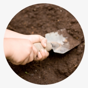 Soil Texture Png - Learning, Transparent Png, Transparent PNG