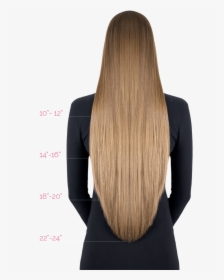 Gallery - Hair Extensions Length, HD Png Download, Transparent PNG
