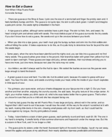 Document, HD Png Download, Transparent PNG