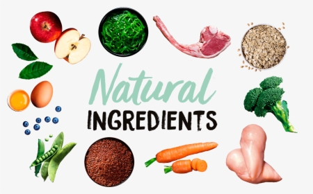 Natural Ingredients - Carrot, HD Png Download, Transparent PNG