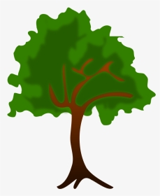 Plant,grass,leaf - Water Quality Tree Map, HD Png Download, Transparent PNG