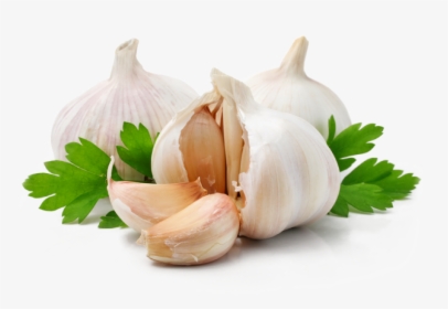 Garlic And Parsley, HD Png Download, Transparent PNG