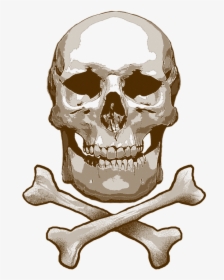 Skull And Cross Bones, Skull, Toxic, Bones, Skeleton - Skull, HD Png Download, Transparent PNG