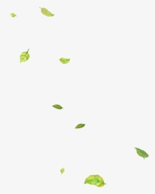 Flying Leaves Png , Png Download - Листья Летят Пнг, Transparent Png, Transparent PNG
