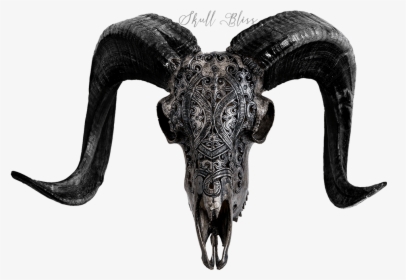 Transparent Goat Skull Png - Horn, Png Download, Transparent PNG