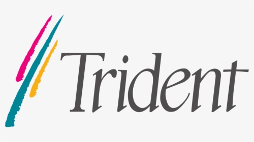Trident Microsystems, HD Png Download, Transparent PNG