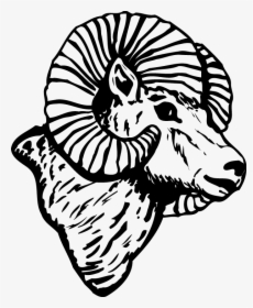 Ram Head Side View, HD Png Download, Transparent PNG