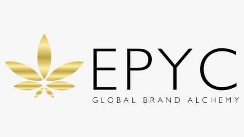 Epyc Logo, HD Png Download, Transparent PNG