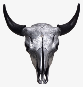 Silver Bison Skull - Horn, HD Png Download, Transparent PNG