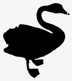 Duck Goose Clip Art Fauna Silhouette - Black Swan, HD Png Download, Transparent PNG