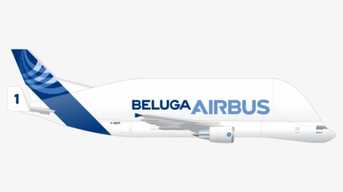 Enter Image Description Here - Airbus Beluga Side View, HD Png Download, Transparent PNG