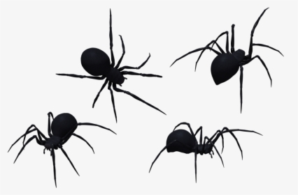 Transparent Black Widow Clipart - Silhouette Spider Clipart Black And White, HD Png Download, Transparent PNG
