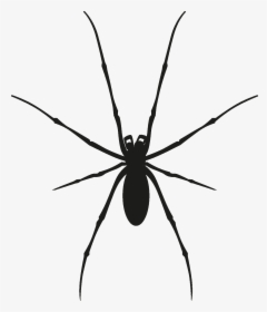 Insects Set [silhouette] Png - Black Widow, Transparent Png, Transparent PNG