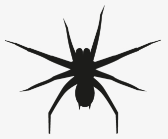 Insects Set [silhouette] Png - Wolf Spider, Transparent Png, Transparent PNG
