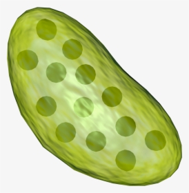 Transparent Chloroplast Png - Diagram Of A Leaf Structure, Png Download ...