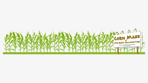 Grass, HD Png Download, Transparent PNG