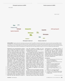 Document, HD Png Download, Transparent PNG
