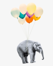 Elephant Flying On Balloons, HD Png Download, Transparent PNG