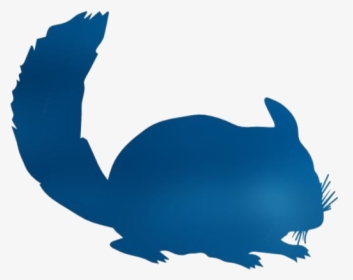 Transparent Chinchilla Mammal Png - Mother Of Chinchillas Tshirt, Png Download, Transparent PNG