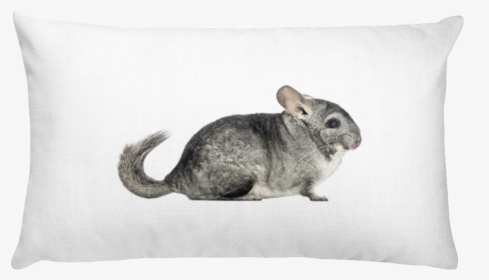 Class Lazyload Lazyload Mirage Cloudzoom Featured Image - White Rectangular Pillow, HD Png Download, Transparent PNG
