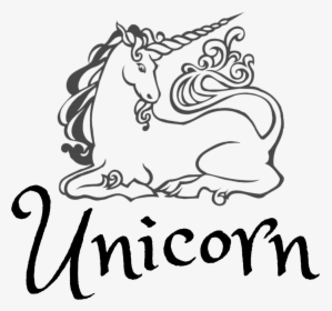 Unicorn Fibre - Unicorn Decorations From Amazon, HD Png Download, Transparent PNG