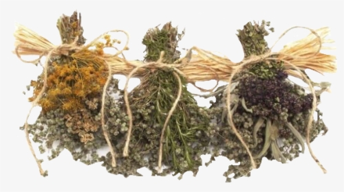 Image - Herbalist Outfits, HD Png Download, Transparent PNG