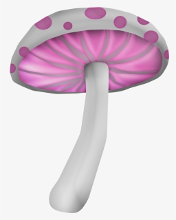 Mushroom, HD Png Download, Transparent PNG