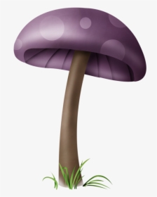 Mushrooms Illustrations Png , Png Download - Png Dessin Champignons Couleur, Transparent Png, Transparent PNG