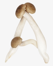 Shimeji Mushroom Font A - Mushrooms Shaped Like Letters, HD Png Download, Transparent PNG