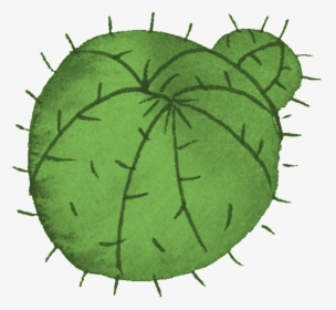 Cartoon Cactus Transparent - Illustration, HD Png Download, Transparent PNG