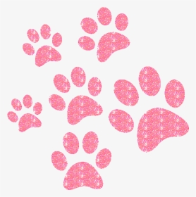 #paws #paw #glitteredit #puppy #pup #mysticker #sticker - National Veterinary Technician Week 2018, HD Png Download, Transparent PNG