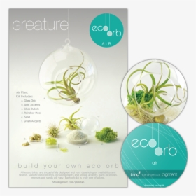 Product Package Design For The Build Your Own Eco Orb - Flyer, HD Png Download, Transparent PNG