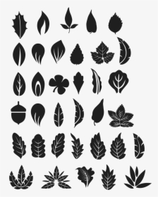 Tree Leaves Vectors Png, Transparent Png, Transparent PNG