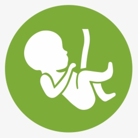 Gynaecology & Obstetrics Icon , Png Download - Gynaecology & Obstetrics Icon, Transparent Png, Transparent PNG