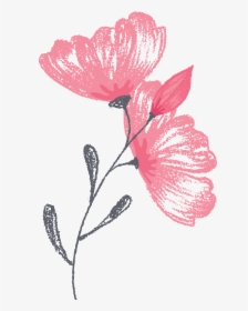 Greenwich Photographer Flower Graphic - Illustration, HD Png Download, Transparent PNG
