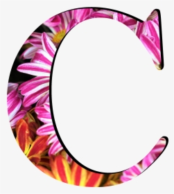 Flower Pattern Letters C - Circle, HD Png Download, Transparent PNG