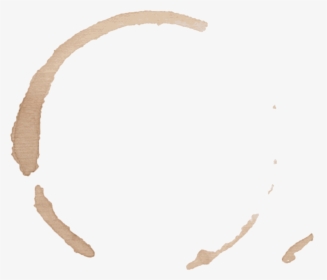 Stains On Student Show - Wood, HD Png Download, Transparent PNG